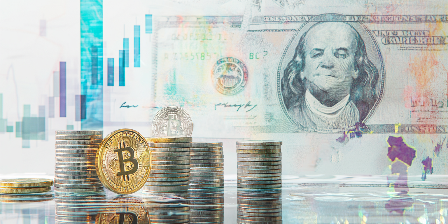 Ontdek de Geheimen van Profitium Vista: Is Het Betrouwbaar?